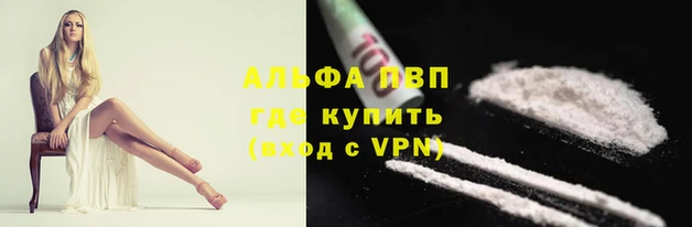 ПСИЛОЦИБИНОВЫЕ ГРИБЫ Протвино