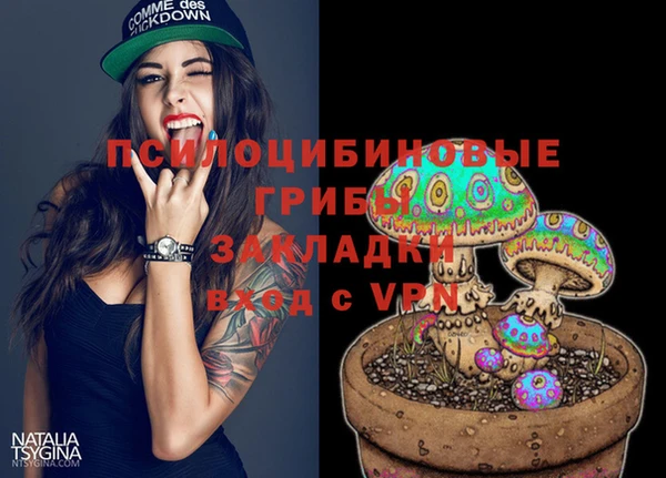 первитин Богданович