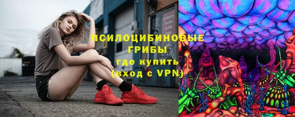 прущая мука Богородицк