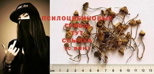 первитин Богданович
